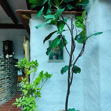 Goldener Taler * Lörrach