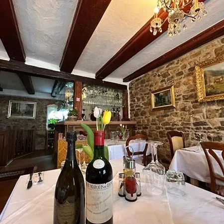 Goldener Taler Hotel Lorrach