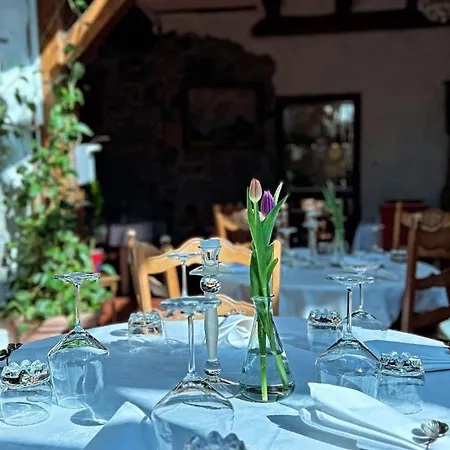 Goldener Taler Hotel *