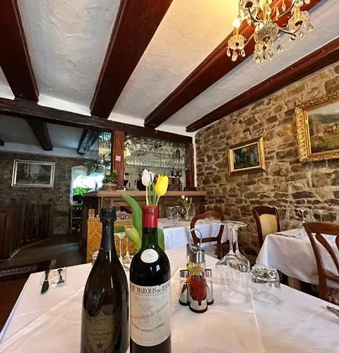 Goldener Taler Hotell Lörrach